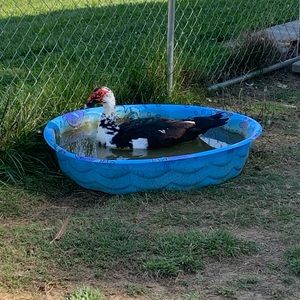 Meet your Posher, Marcy